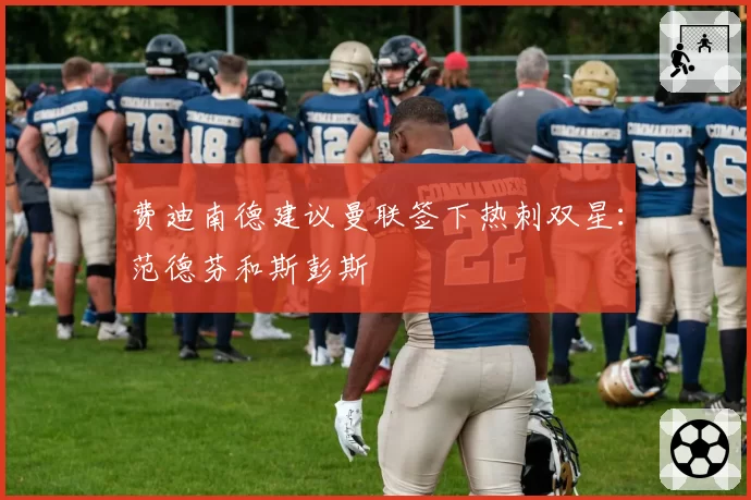 费迪南德建议曼联签下热刺双星：范德芬和斯彭斯