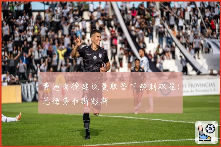 费迪南德建议曼联签下热刺双星：范德芬和斯彭斯
